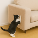 Arranhador Gato de Carpete Autocolante