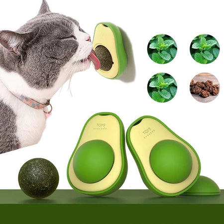 Abacate De Brinquedo com Catnip Erva