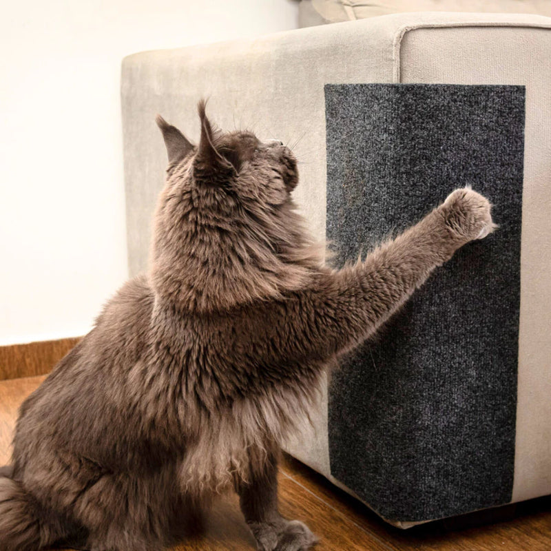 Arranhador Gato de Carpete Autocolante