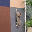 Arranhador Gato de Carpete Autocolante