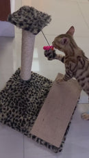 Arranhador Gato Poste com Rampa Mola Maluca com Brinquedo Exclusivo