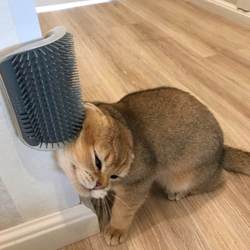 Escova De Canto | Cats Brush