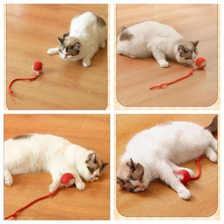 Bola De Brinquedo Elétrica Interativa Para Gatos